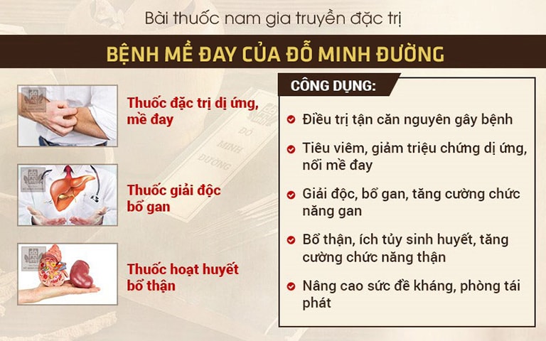 Cơ chế tác động SONG TIÊU ĐỒNG DƯỠNG của bài thuốc Mề đay Đỗ Minh