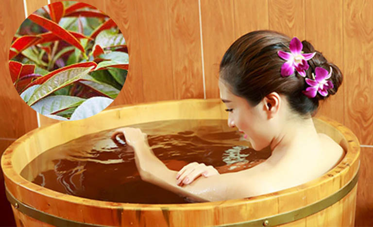 Tắm lá đơn đỏ giúp hỗ trợ điều trị căn bệnh mề đay toàn thân rất tốt Tắm lá đơn đỏ giúp hỗ trợ điều trị căn bệnh mề đay toàn thân rất tốt