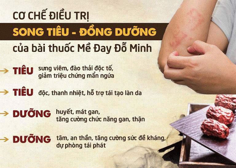 Cơ chế Song tiêu - Đồng dưỡng cho hiệu quả toàn diện