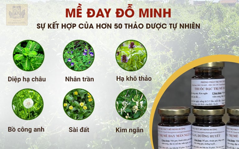 Thành phần thảo dược quý có mặt trong bài thuốc Mề đay Đỗ Minh